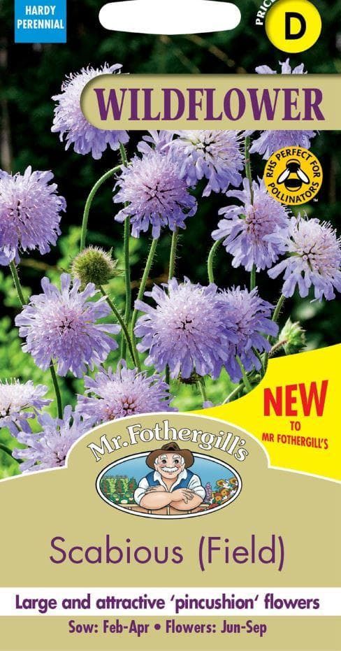Mr Fothergills - Wild Flower - Field Scabious - 50 Seeds