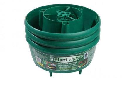 Garland - Plant Halos in Green - Set of 3 - G167G