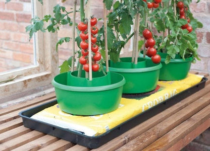 Garland - Plant Halos in Green - Set of 3 - G167G