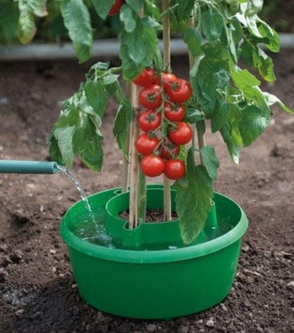 Garland - Plant Halos in Green - Set of 3 - G167G
