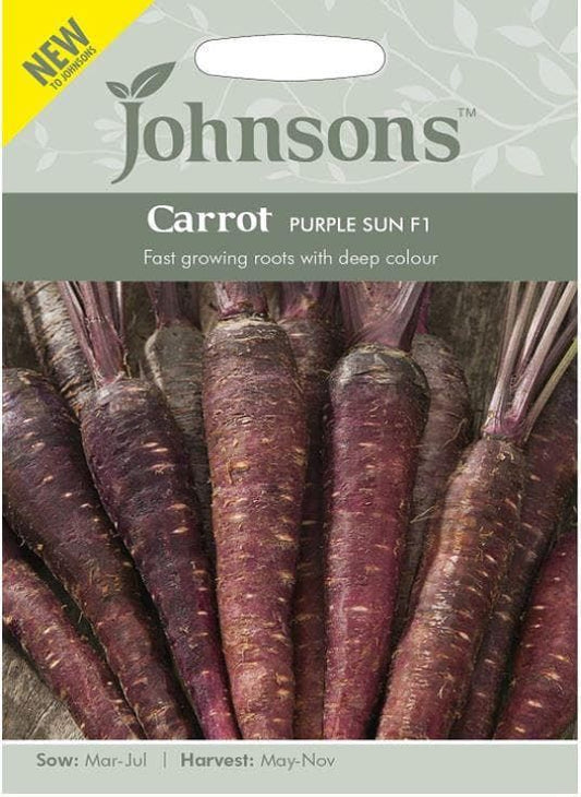 Johnsons Seeds - Vegetable - Carrot - Purple Sun F1 Seeds