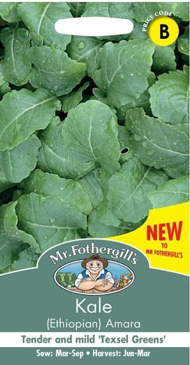 Mr Fothergills - Vegetable - Kale (Ethiopian) Amara - 500 Seeds