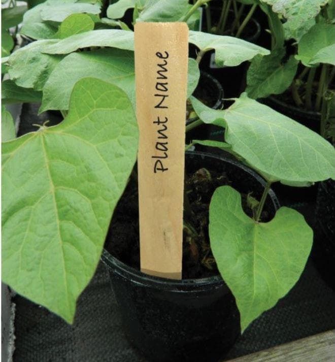 10 Wooden Plant Labels - 10cm (4")