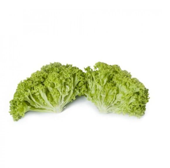 Lettuce Leaf Green Outdoor Lugano RZ (85-09) Untreated Seeds
