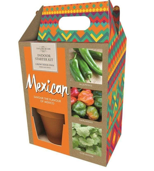 Taylors - Gift - Vegetable -Mexican Themed Started Seed Kit
