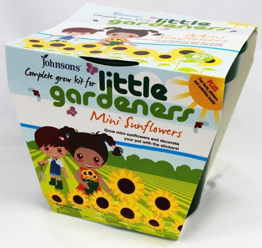 Johnsons Little Gardeners Complete Growing Kit Mini Sunflowers