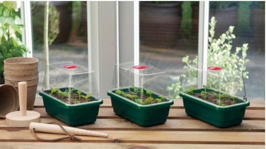 Mini High Dome Propagator (Set of 3) with Holes - Garland G85X3
