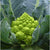 Cauliflower Romanesco Hybrid Puntoverde RZ F1 (26-858) Untreated