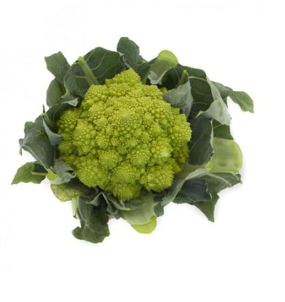 Cauliflower Romanesco Puntoverde RZ F1 Hybrid (26-858) Untreated Seeds