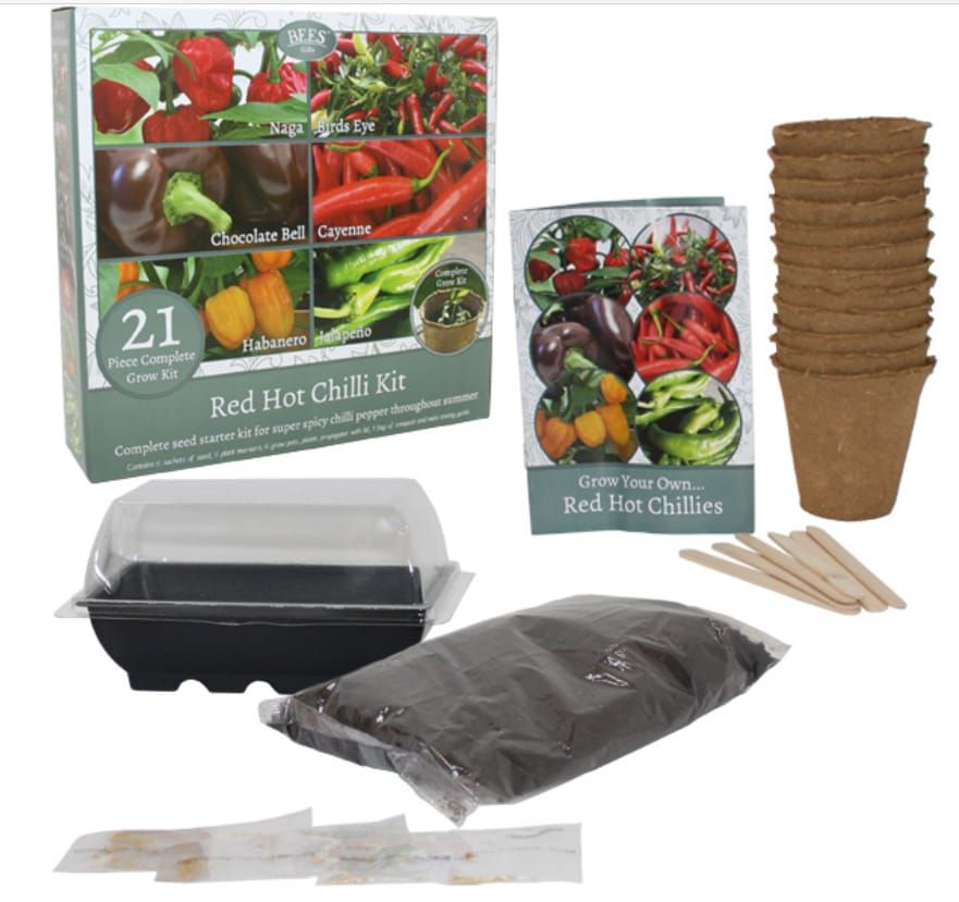 Bees Red Hot Chilli Kit - 6 Types