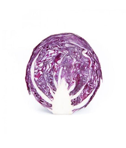 Red Cabbage Redma RZ F1 Hybrid Untreated Seeds