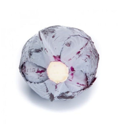 Red Cabbage Redma RZ F1 Hybrid Untreated Seeds