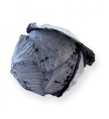 Red Cabbage Rodima RZ F1 Hybrid Untreated Seeds