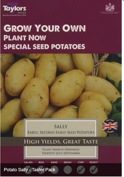 Taylors - Seed Potatoes - Sally - 10 Tubers - Second Early