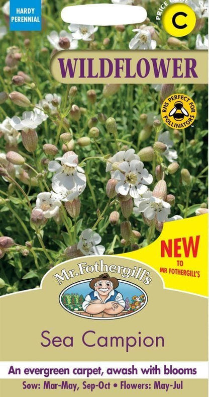 Mr Fothergills - Wild Flower - Sea Campion - 250 Seeds