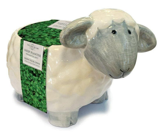 Taylors - Gift - Herb - Novelty Sheep Mini Mint - Ceramic Planter Seed Kit