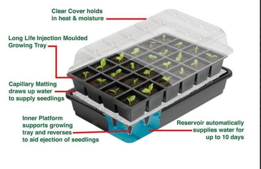 24 Cell Self Watering Seed Success Kit - Garland G165