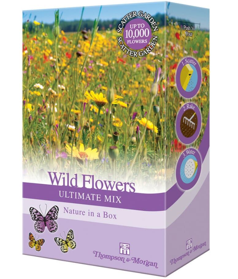 Thompson & Morgan - Wildflowers Ultimate Mix Scatter Seed Pack - Garden Plant Seed Grow Your Own Poppies, Meadow Flowers & Grasses