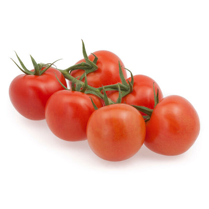 Organic Tomato Roterno RZ (72-230) F1 Hybrid Seed
