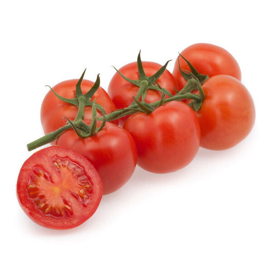 Organic Tomato Roterno RZ (72-230) F1 Hybrid Seed