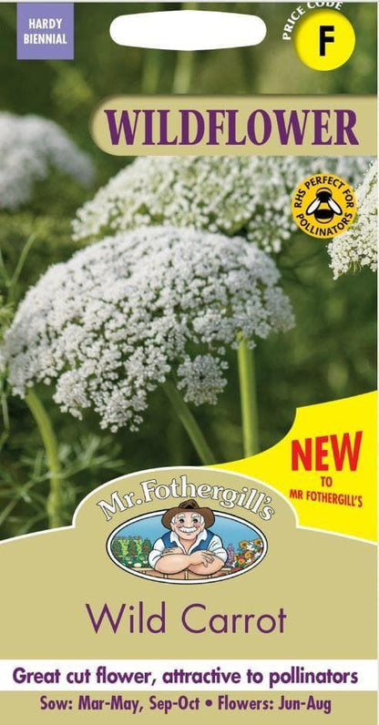 Mr Fothergills - Wild Flower - Wild Carrot  - 500 Seeds